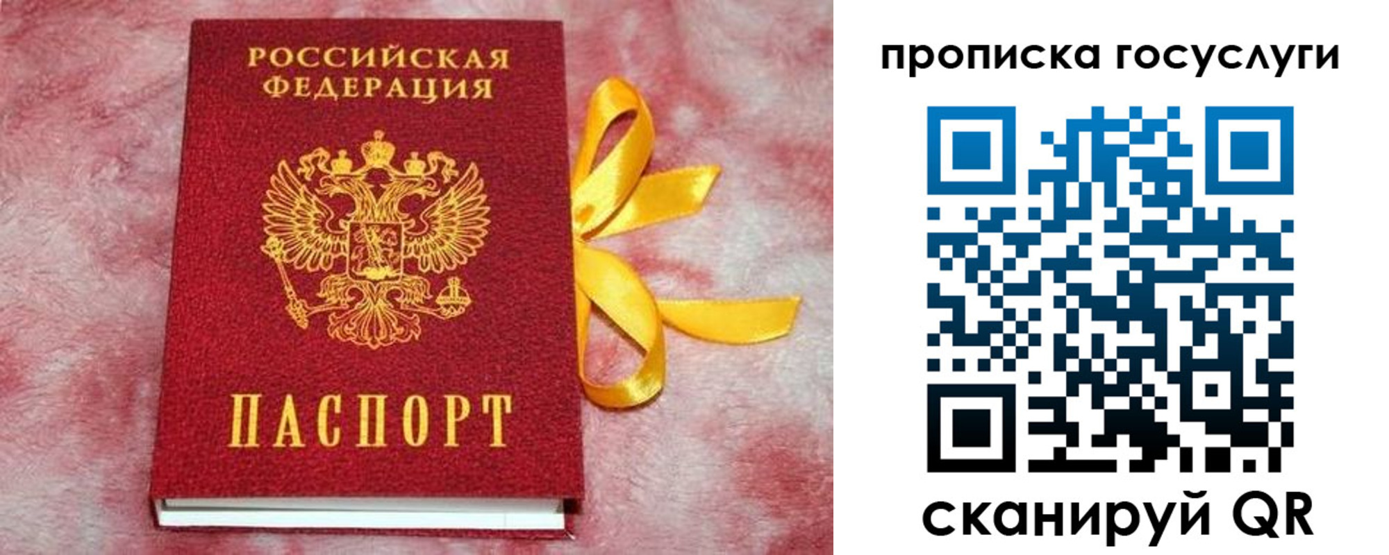 прописка законно в Ржеве